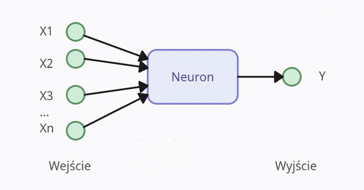 Uproszczony wyglad neuronu